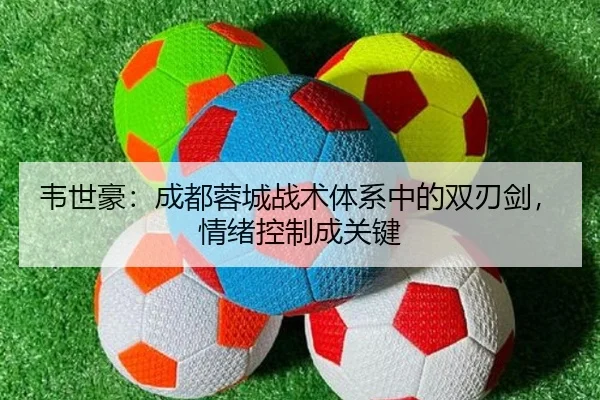 wei-shi-hao-cheng-du-rong-cheng-zhan-shu-ti-xi-zhong-de-shuang-ren-jian-qing-xu-kong-zhi-cheng-guan-jian-3-661.jpg