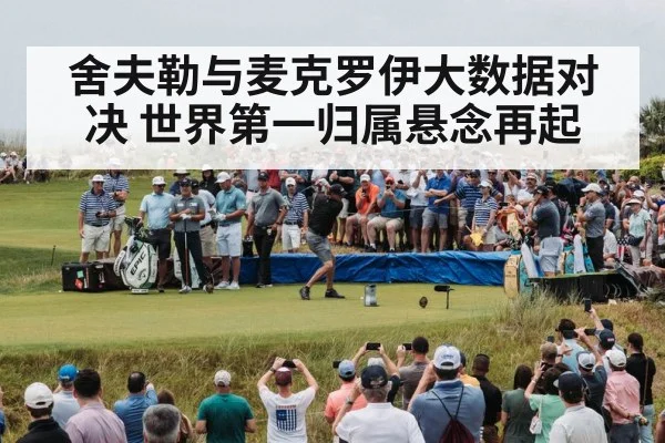 舍夫勒与麦克罗伊大数据对决 世界第一归属悬念再起